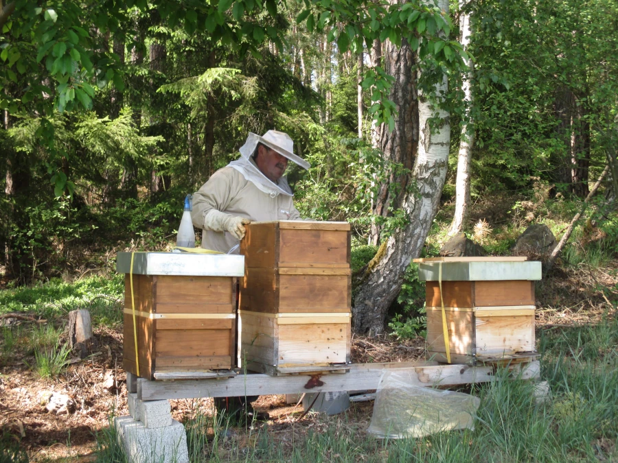 heini und die bienen ueber mich als imker